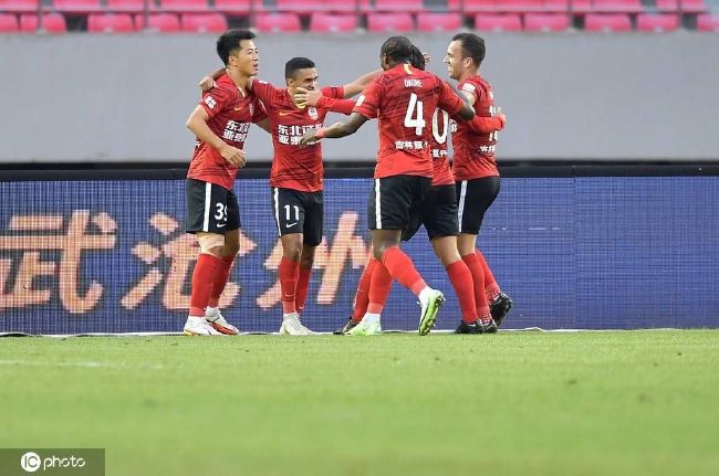 最新电影狗阵免费观看