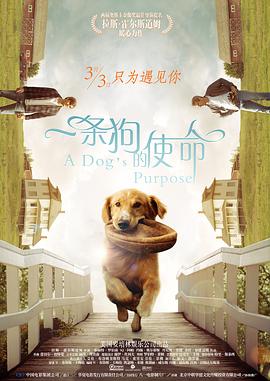 无限释放性丑闻-新婚夫妇观音