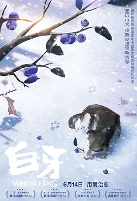 久久免费福利视频