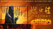 福利免费在线观看