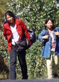 伊人一区二区三区