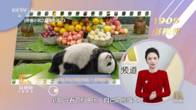 欧美久草